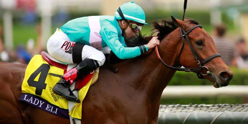 Lady Eli Preps for Breeders’ Cup Filly & Mare Turf