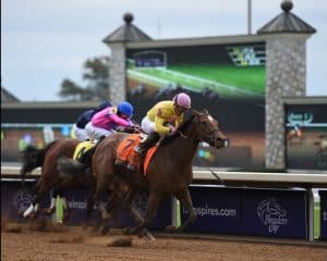 Breeders' Cup Filly & Mare Sprint champ Wavell Avenue is the one to beat in the Shine Again at the Spa. (Photo credit: Breeders' Cup Ltd.)