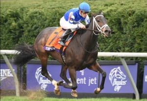 Tepin is the heavy favorite for the Woodbine Mile on Saturday, her final prep before defending her title in the Breeders' Cup Mile (G1). (Photo credit: Breeders' Cup Ltd.)
