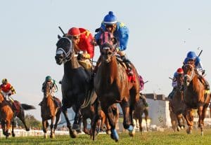 A field of nine will line up in Saturday's Kentucky Turf Cup (G3) at Kentucky Downs. (Photo credit: Kentucky Downs).