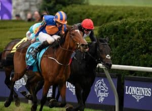 Breeders' Cup Turf champ Found will be cross-entered in the Classic (Photo credit: Breeders' Cup Ltd.).