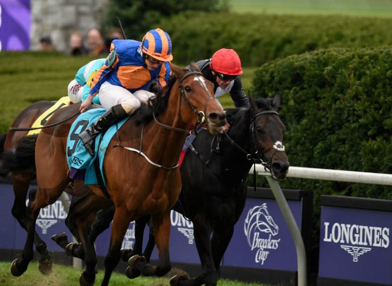 Arc Winner Found Could Face Boys in Breeders’ Cup Classic