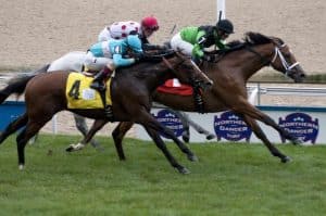The top two from the Northern Dancer (G1), the Pizza Man and Wake Forest take on four Euro shippers in the $1 million Canadian International (G1) at Woodbine on Sunday (Photo credit: Woodbine Entertainment).