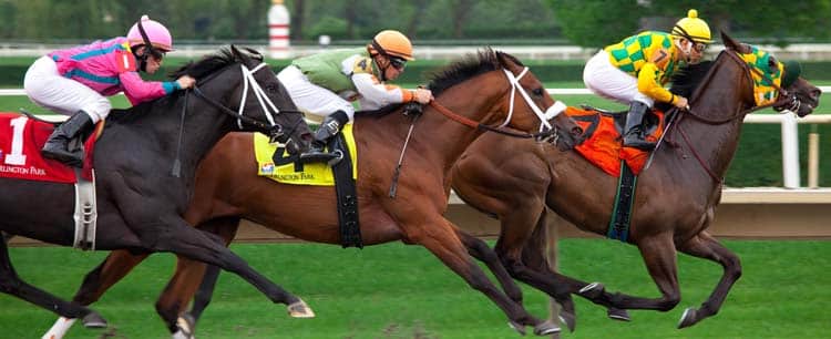 Look at Them Go: The Top 5 Racehorses of All Time