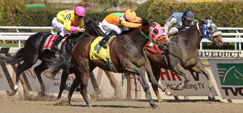 Solid Ways You Can Improve Your Horse Racing Betting Strategy