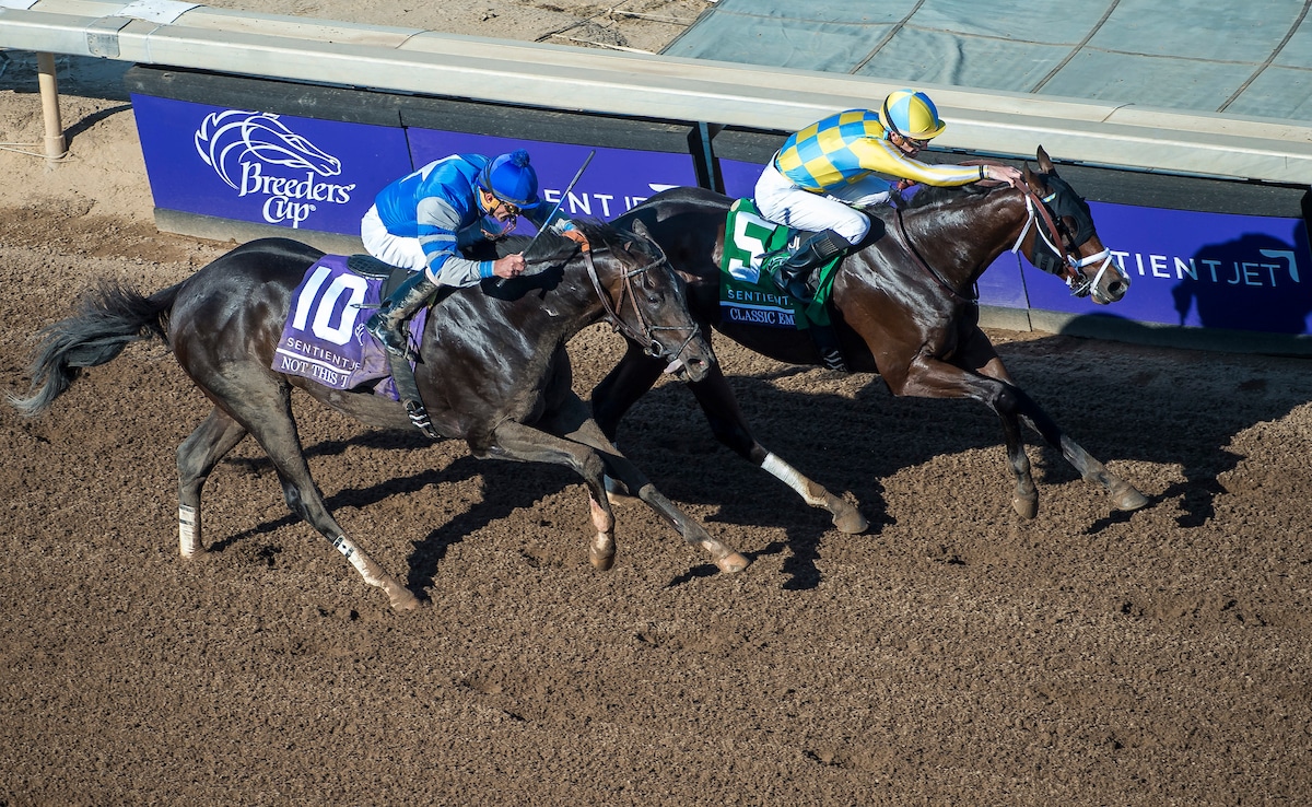 Early Kentucky Derby Betting: Classic Empire, Not This Time Co-Favorites
