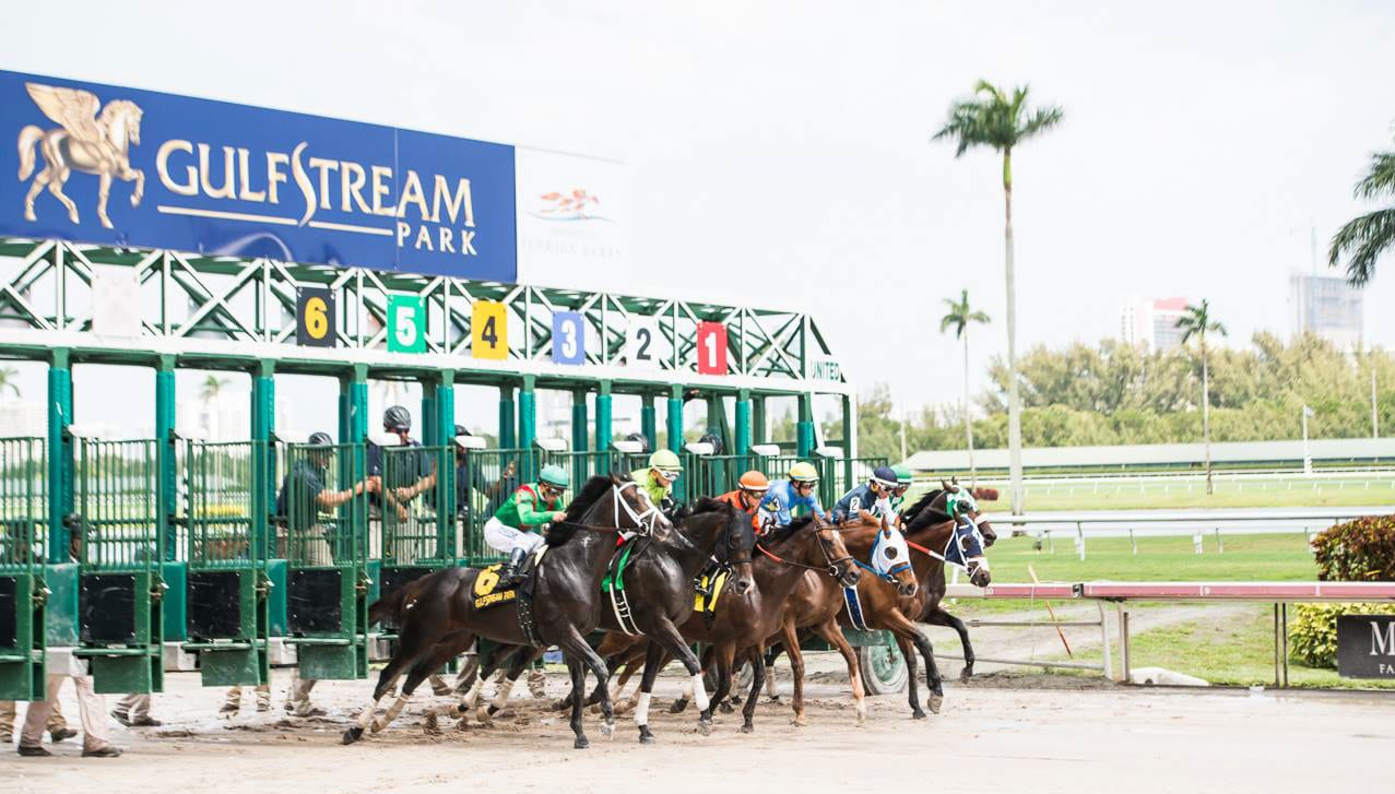 Ce Ce Leads Field in Princess Rooney at Gulfstream Park