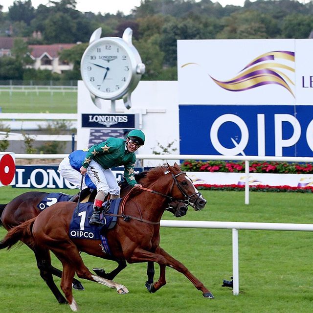 Decorated Knight Earns Breeders’ Cup Turf Berth by Winning Irish Champion Stakes