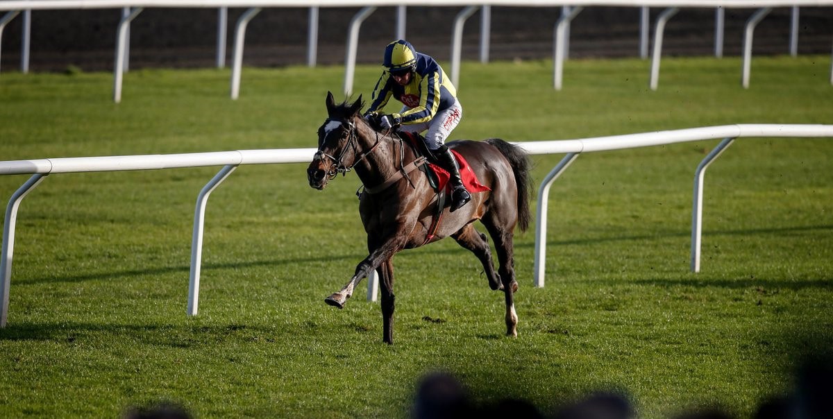 Will If The Cap Fits Deliver on Promise at Cheltenham?