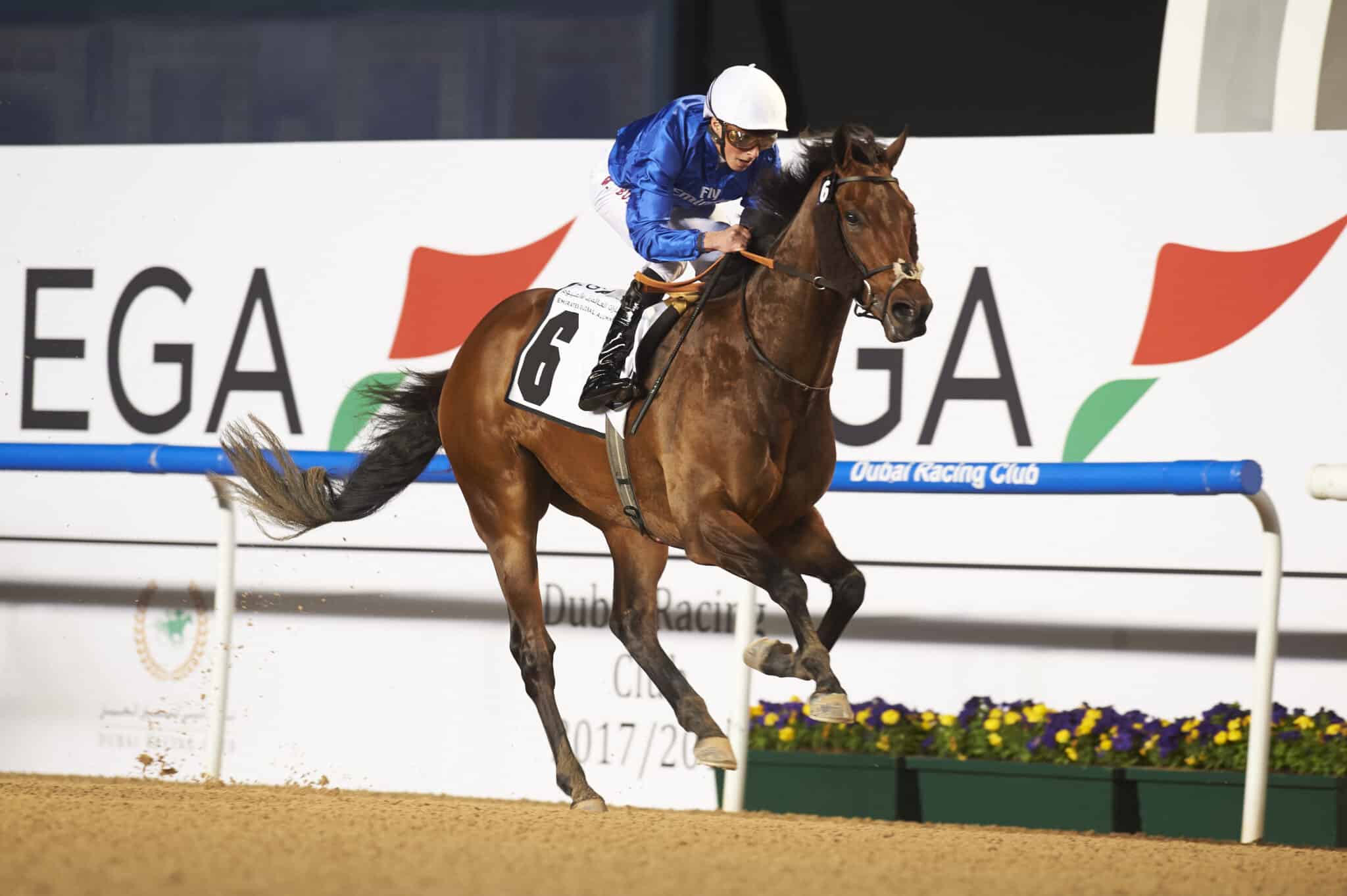 Gold Town Looks to Shine in UAE 2000 Guineas