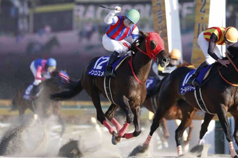 Nonkono Yume Wins February Stakes Earning Breeders’ Cup Classic Berth