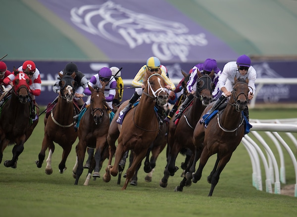 Breeders’ Cup Wagering Menu and Race Order