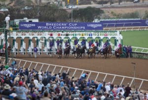 Wagering Menu for the 2021 Breeders' Cup