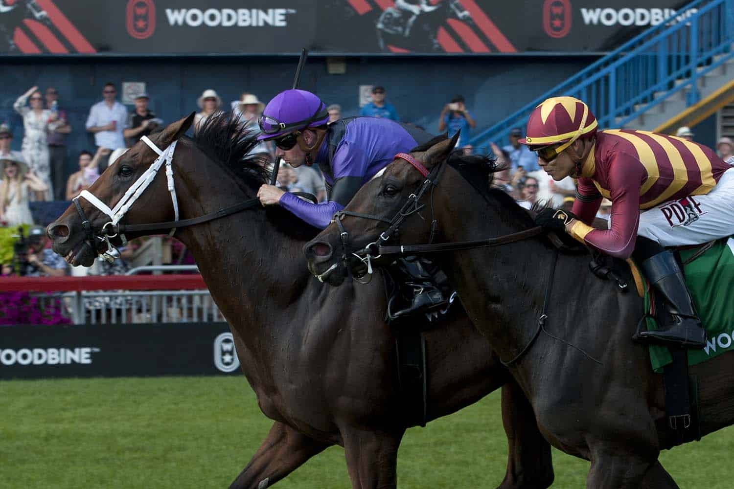 Long On Value Stamps Ticket to Breeders’ Cup Turf Sprint