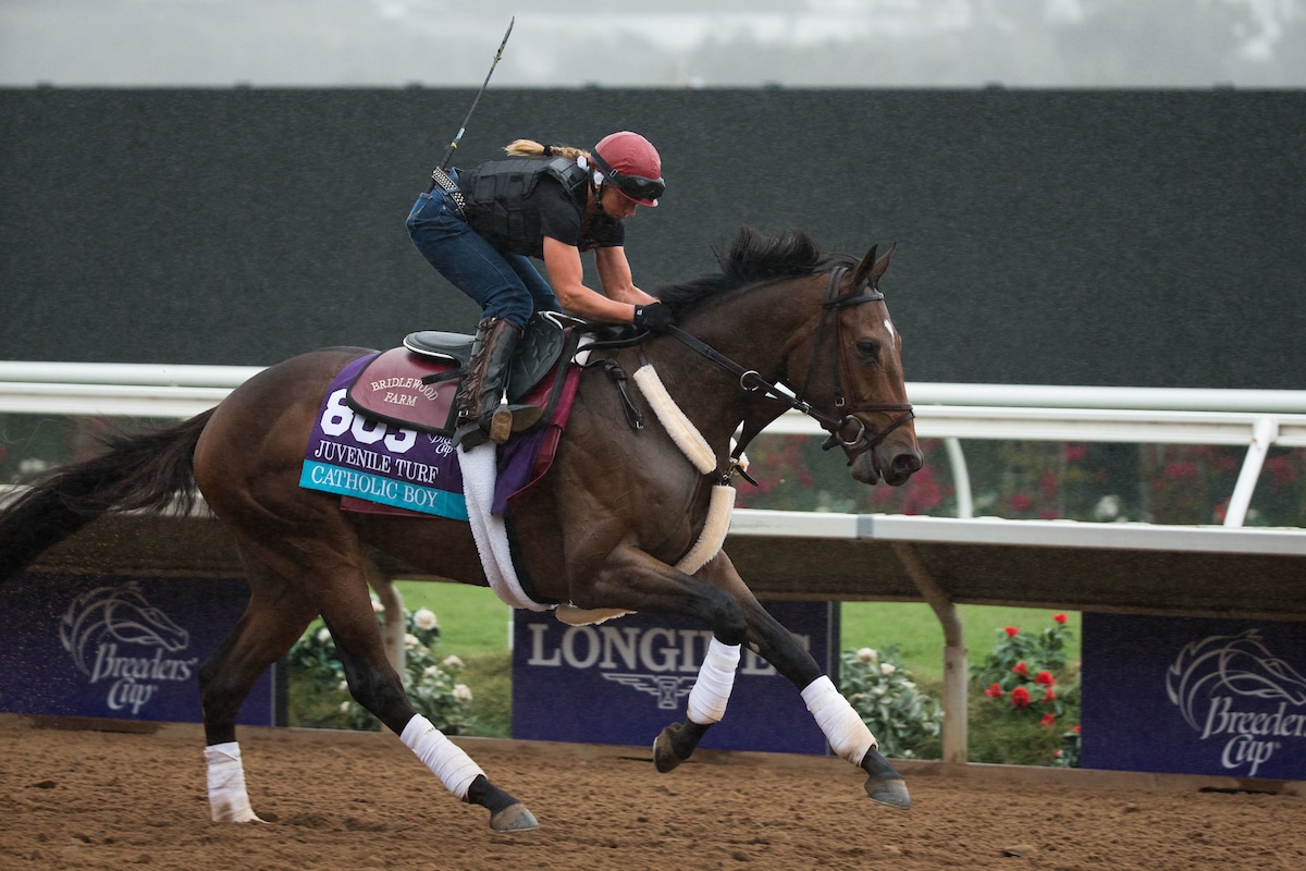 Catholic Boy to Point Toward Breeders’ Cup Classic
