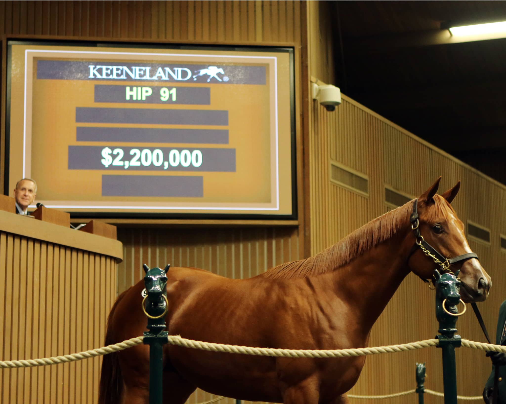 Keeneland Sale Features Breeders’ Cup Connections