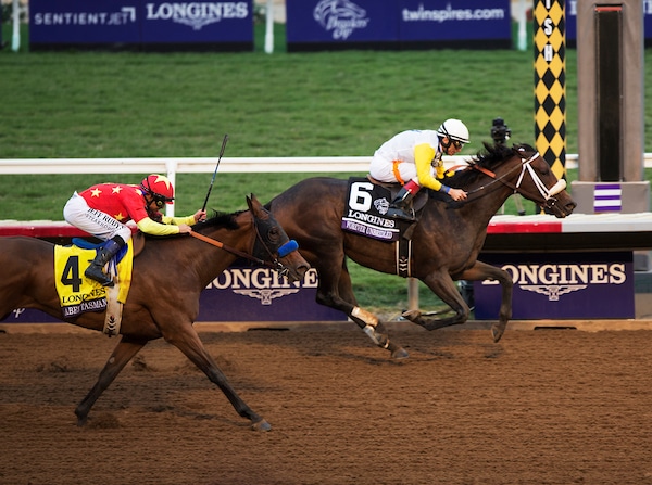 Breeders’ Cup Distaff Wagering Odds