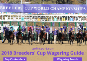2018 Breeders' Cup Wagering Guide