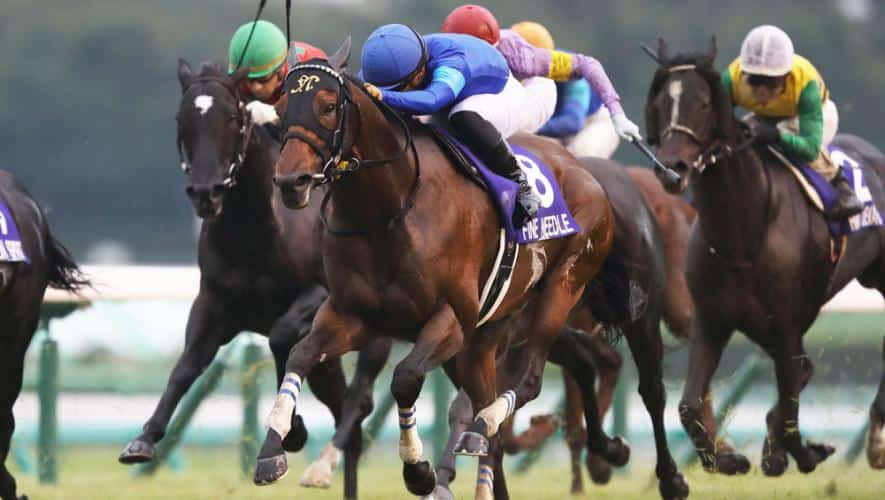 Fine Needle Takes Sprinters Stakes at Nakayama