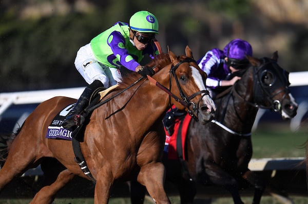Breeders’ Cup Juvenile Betting Odds