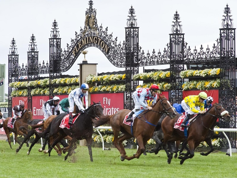 Favourites for the Melbourne Cup 2021 Face Different Paths to Cup Success