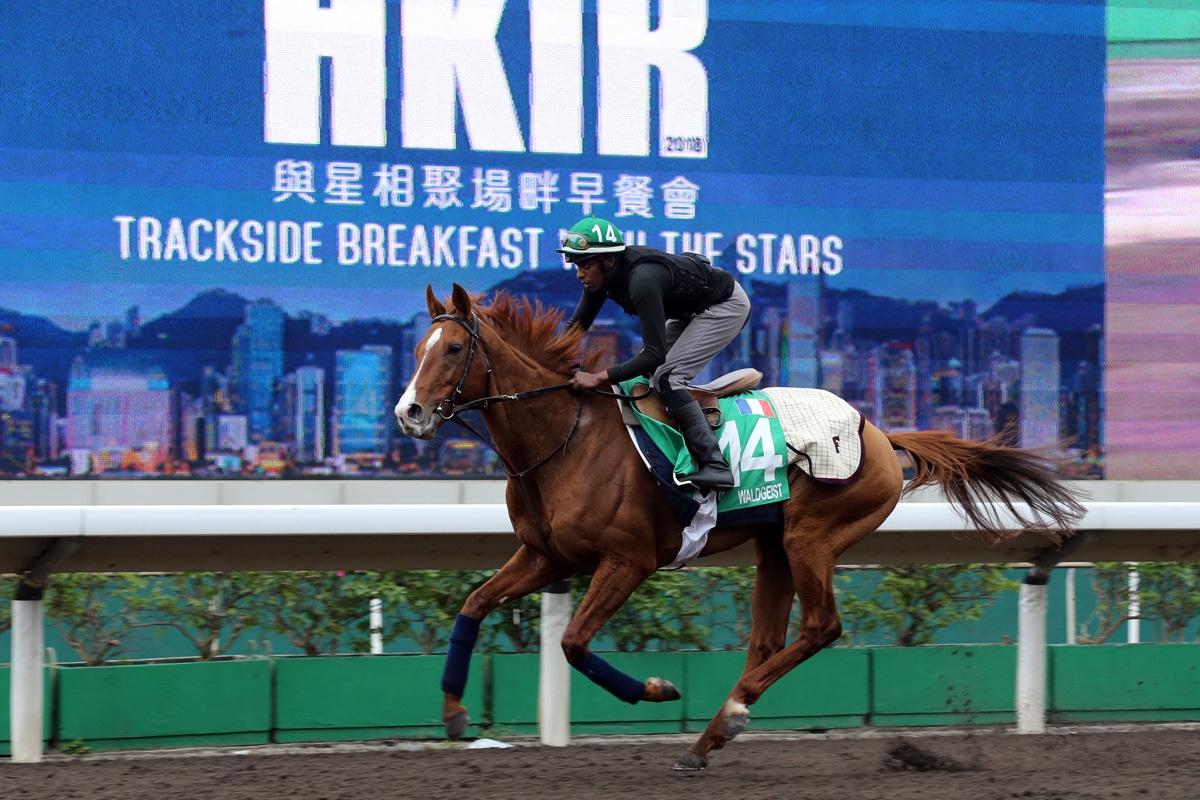 Waldgeist Looks to Rebound in Hong Kong Vase