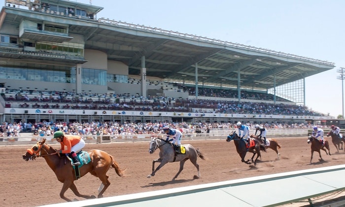 Baffert Duo Looks Tough in Starlet at Los Alamitos