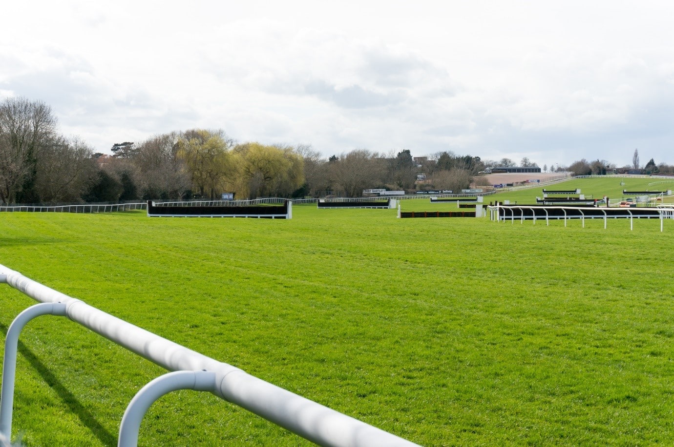 Cheltenham Festival: A Look Back at Willie Mullins’ Eight Winners in 2015