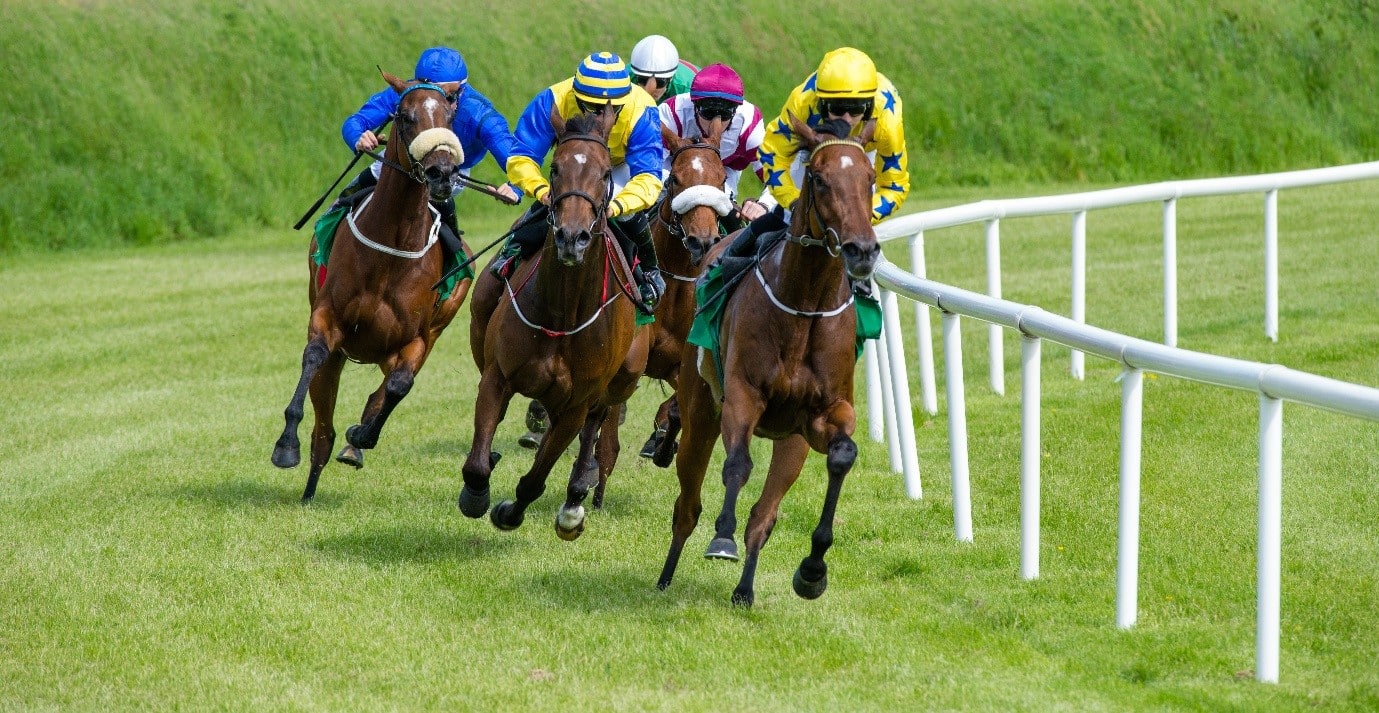 The Three Favourites to Win the Arkle Chase