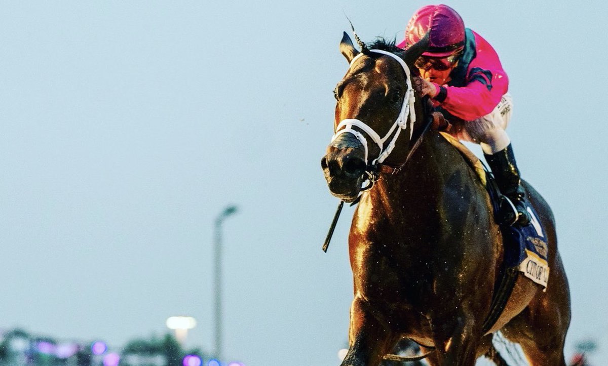City of Light Romps in Pegasus World Cup