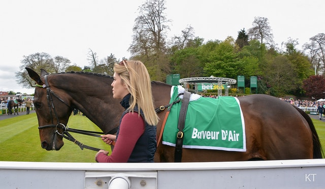 4 Horses Who Could Dethrone Buveur D’Air in the 2019 Champion Hurdle