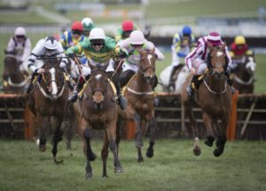 Horse Race Boycotted