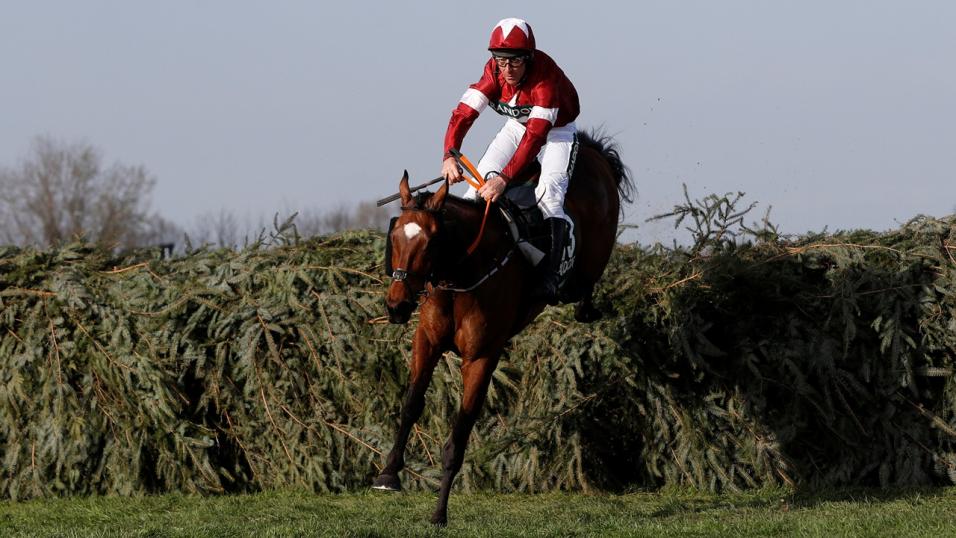 What to Expect from Dual Grand National Winner Tiger Roll This Season
