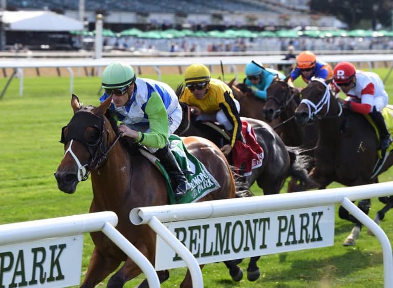 Belmont Stakes Racing Festival Probables Horse Racing Reports and