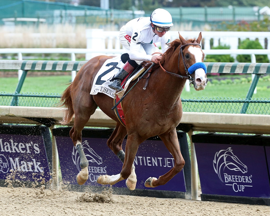 Improbable Leads Prospective Preakness Stakes Field