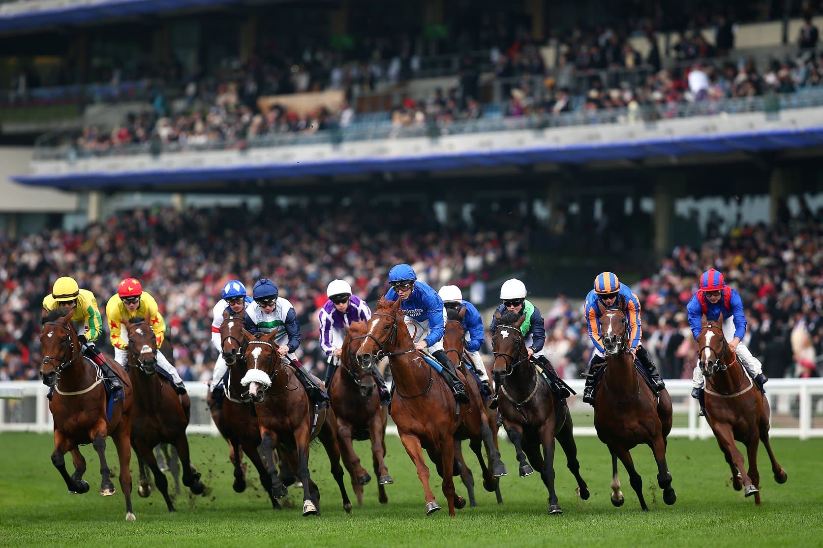Addeybb Seeks Repeat in QIPCO Champion Stakes at Ascot