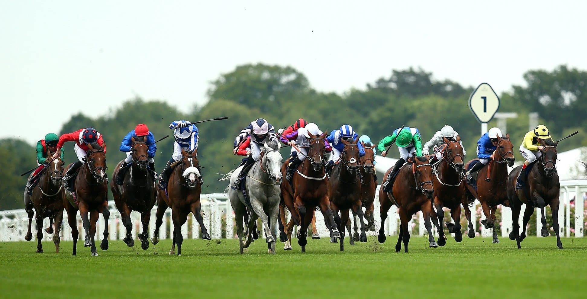 3 Performances to Take from Royal Ascot