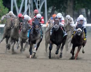 similarities between horse racing and casinos