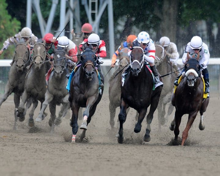 Weekend Recap: The Road to the Kentucky Derby