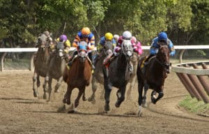 Benefits of Horse Betting