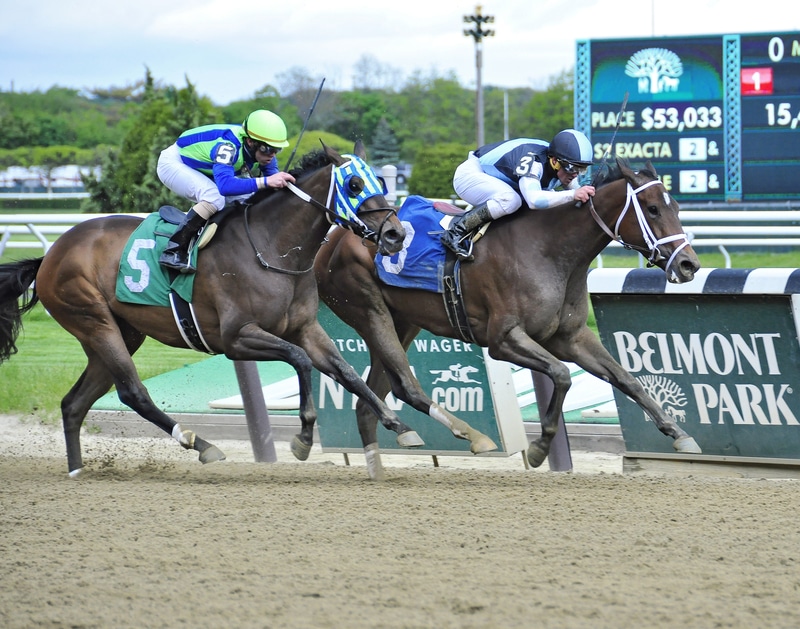 Brown Sends Out Imposing Duo in Ruffian at Belmont Park