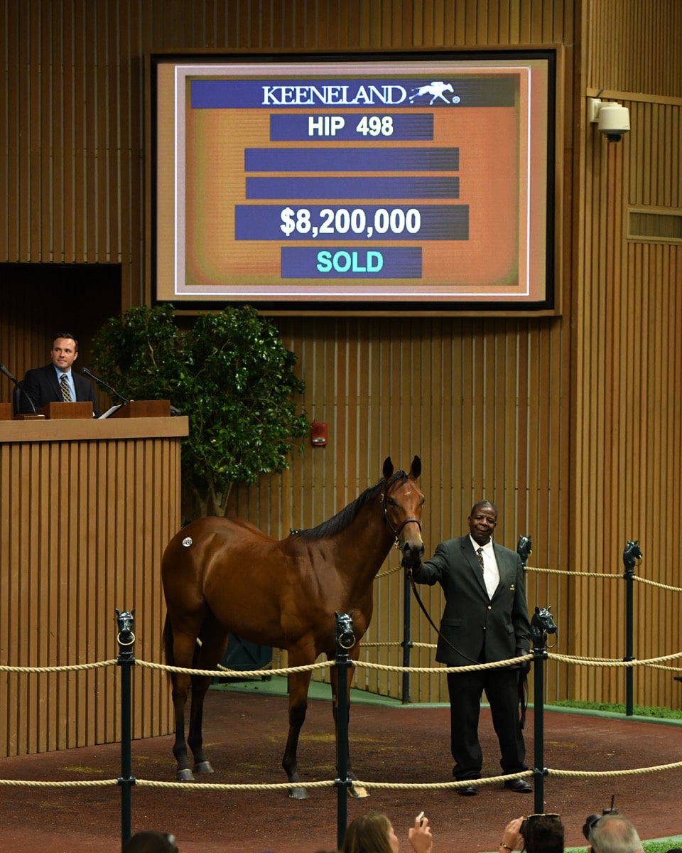 Keeneland Sale Ends With Solid Numbers