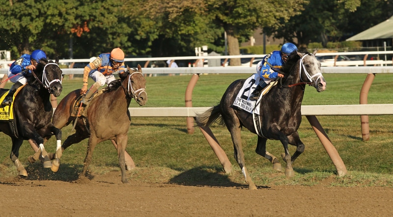 Seven Go in Hopeful on Closing Day at Saratoga