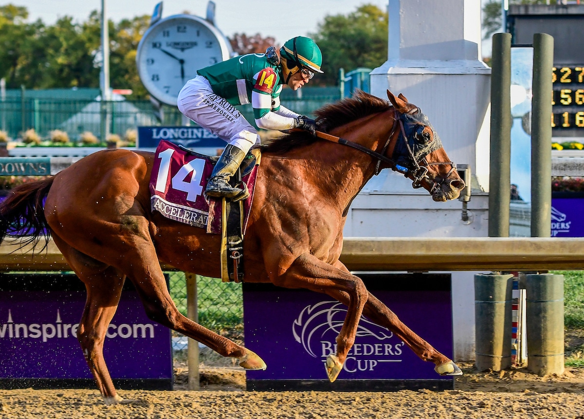 2019 Breeders’ Cup Classic Betting Trends