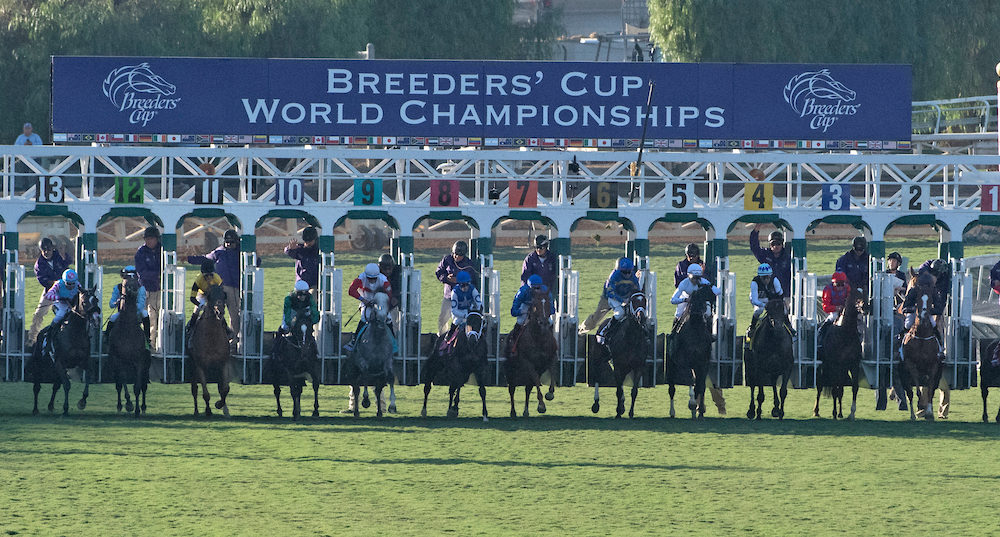 2021 Breeders' Cup Payouts and Recaps