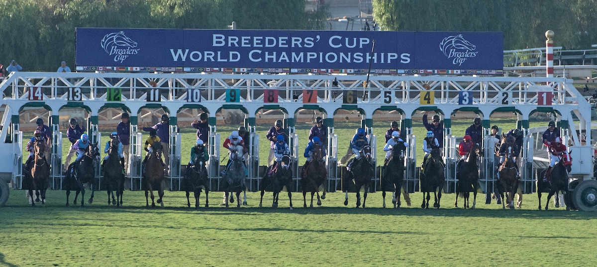 2021 Breeders’ Cup Payouts and Recaps