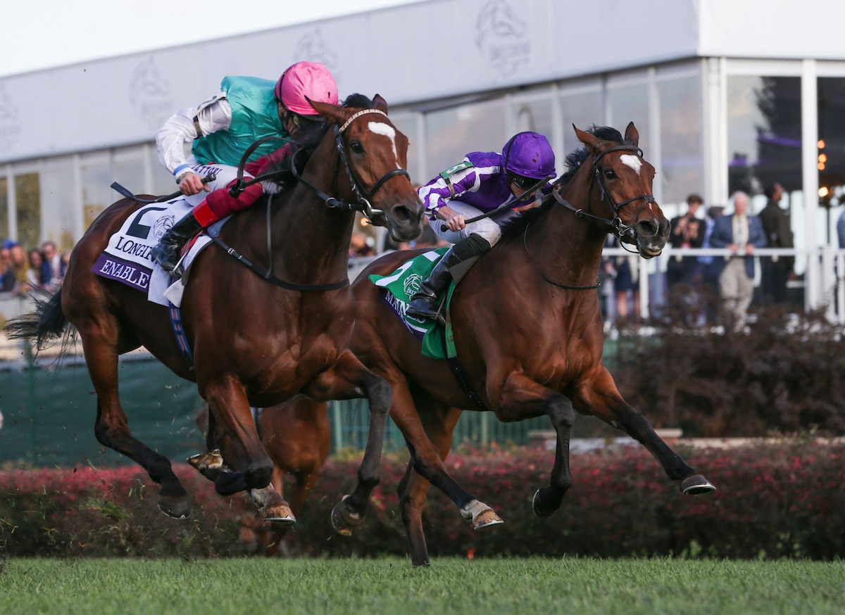 2019 Breeders’ Cup Turf Betting Trends