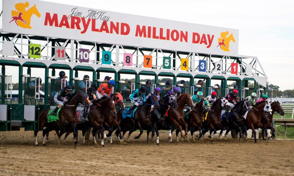 Wide Open Field Goes in Maryland Million Classic Horse Racing Reports