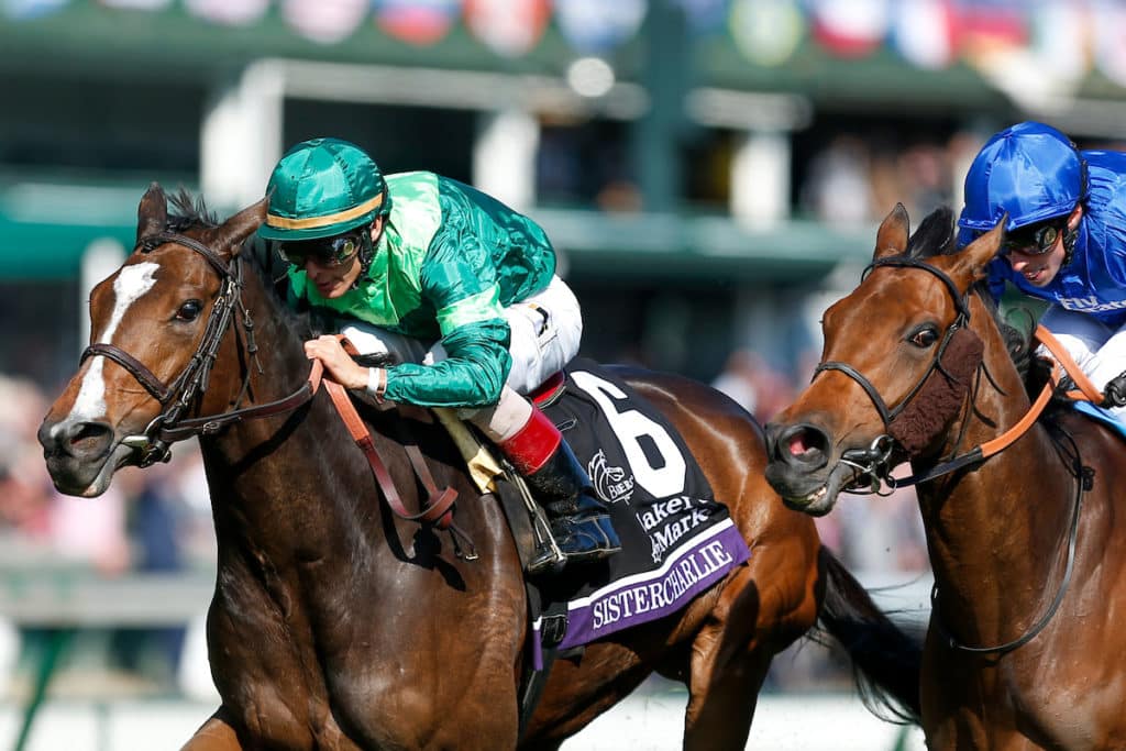 Breeders' Cup PreEntries Announced Horse Racing Reports and News