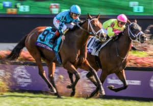 Stormy Liberal Breeders Cup Turf Sprint